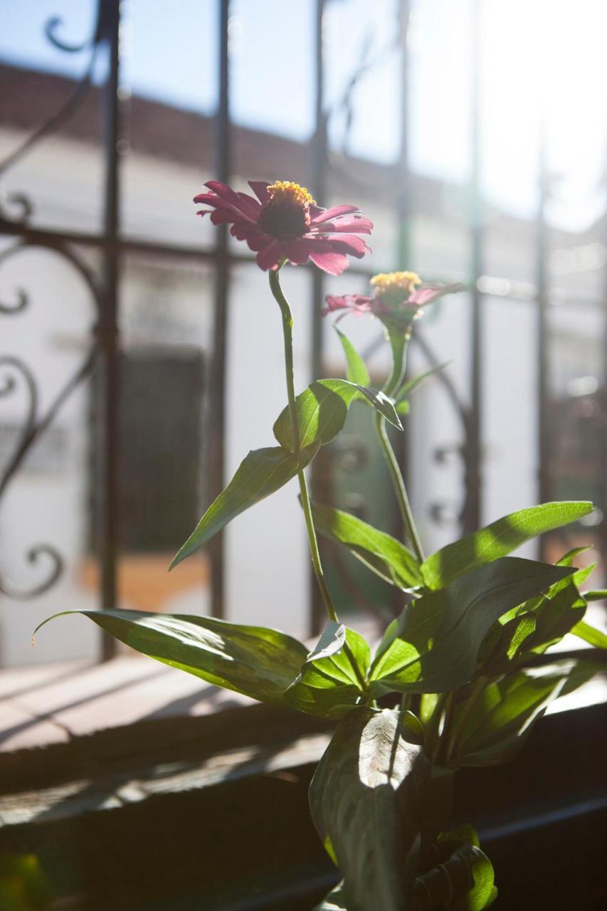 Cafe Mompox - Colonial House Apartment Екстериор снимка